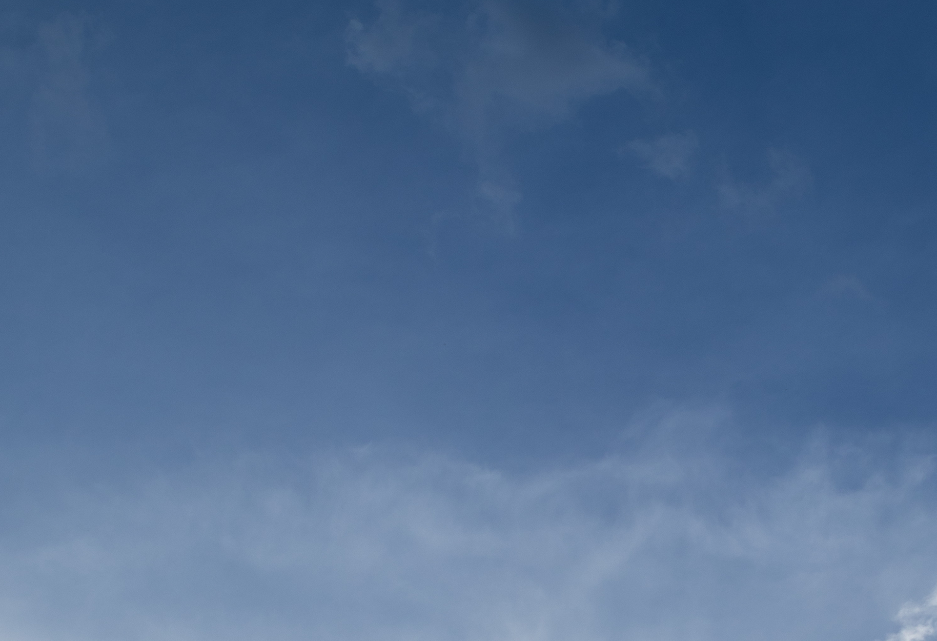 Investor-focused portfolio management hero background
